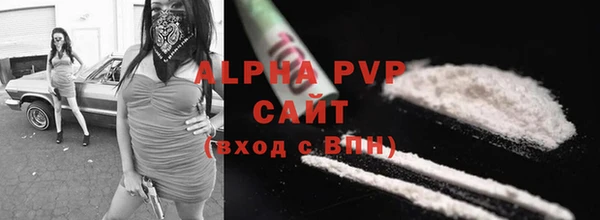 PSILOCYBIN Осинники