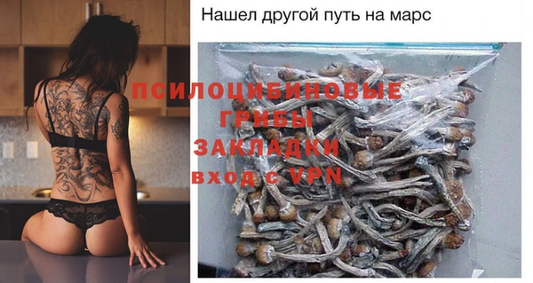 PSILOCYBIN Осинники