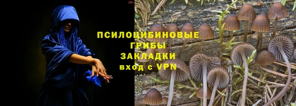 не бодяженный Осташков