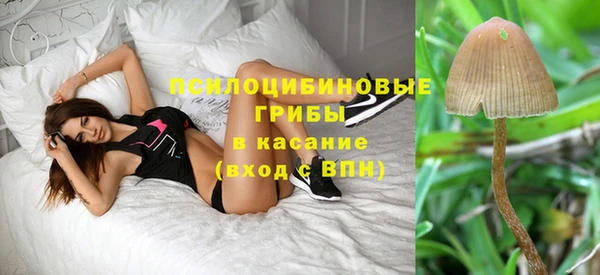 PSILOCYBIN Осинники