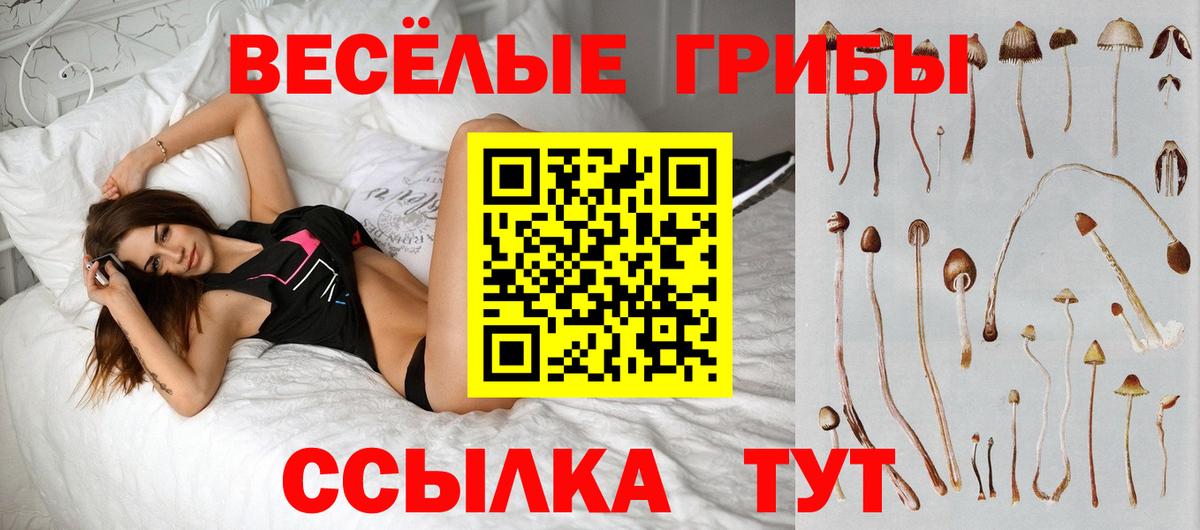 Гурьевск  Галлюциногенные грибы ЛСД  Вход с VPN  Галлюциногенные грибы мицелий 