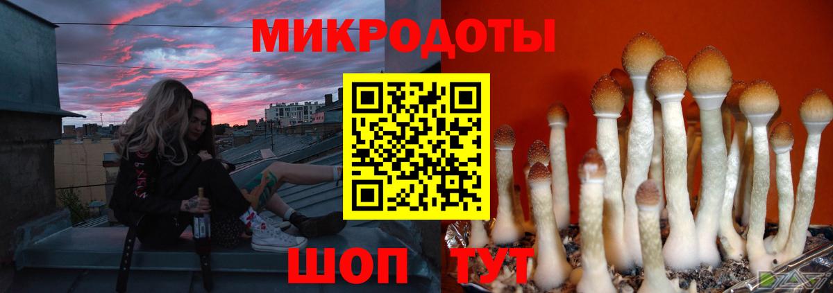Псилоцибиновые грибы ЛСД Гурьевск